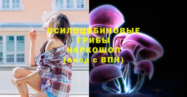 стаф Покровск