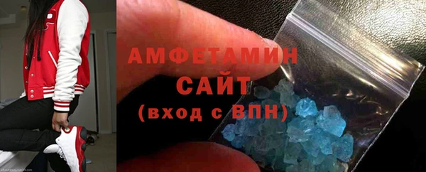 индика Алексин