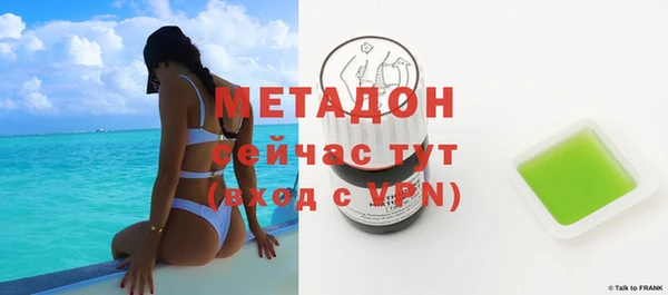 индика Алексин