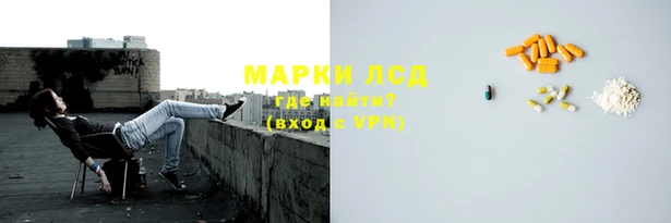 индика Алексин
