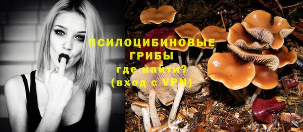 прущие крисы Алзамай