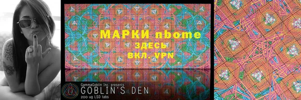индика Алексин