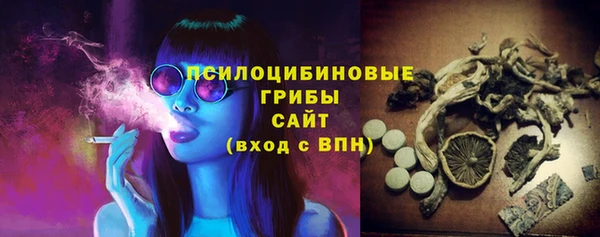 индика Алексин
