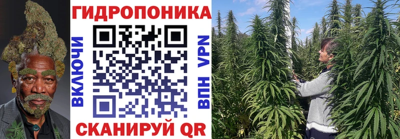 МАРИХУАНА гибрид  Буй 